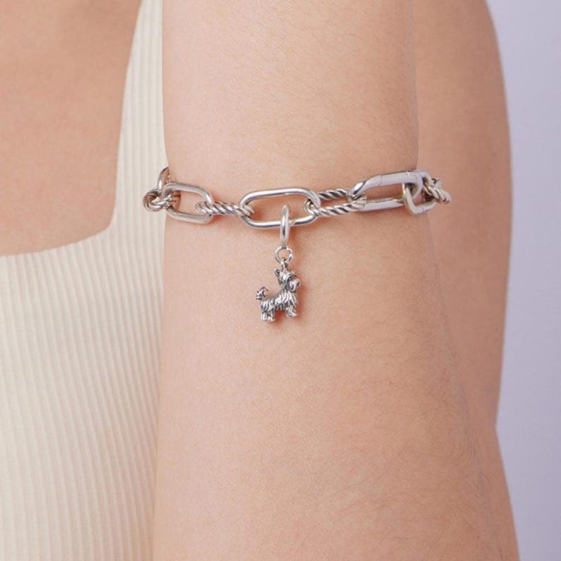 Yorkshire terrier charm